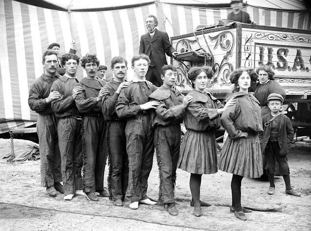 circo8