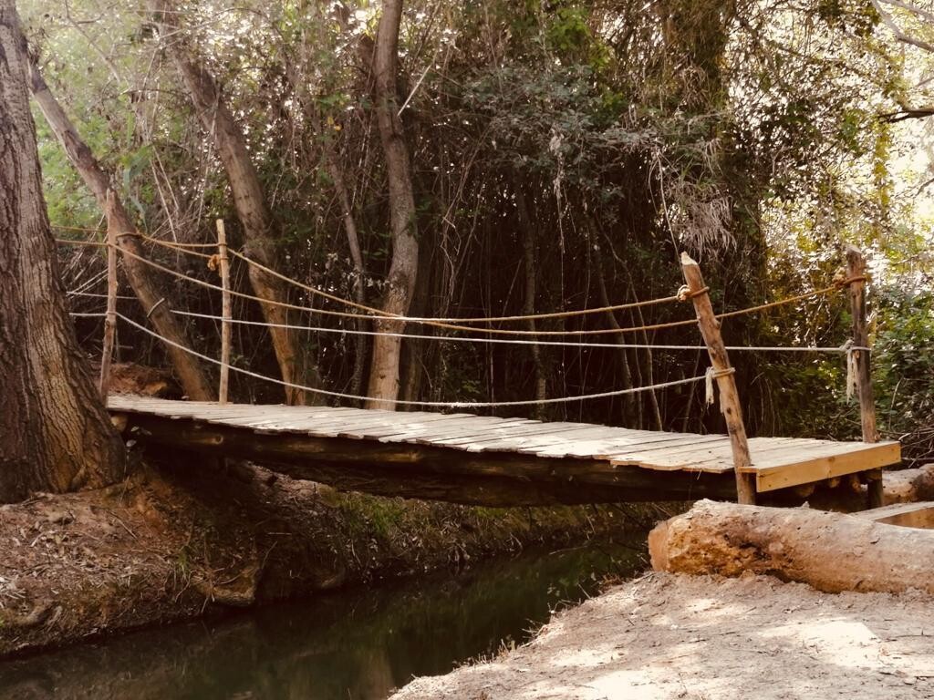 el bosque sonoro mozota 6