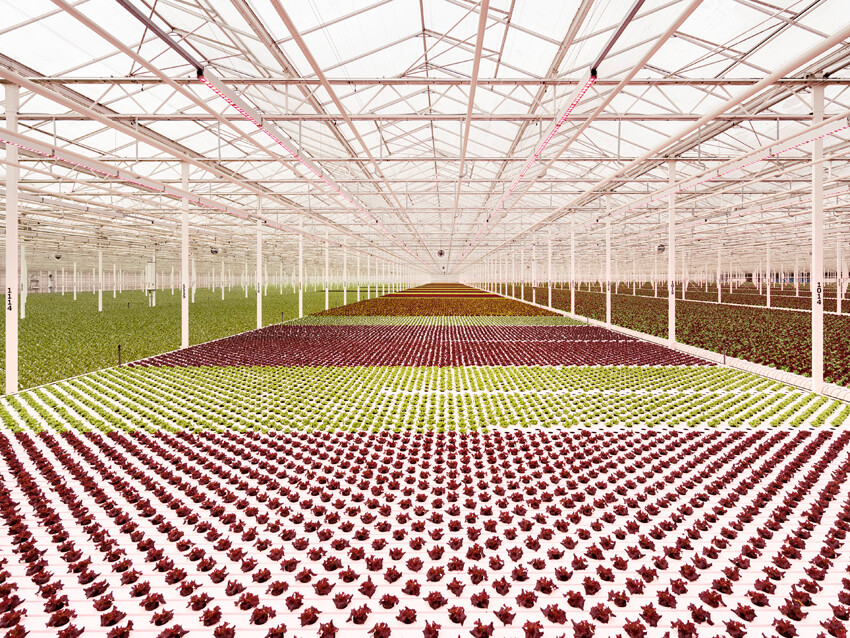10 luca locatelli future studies