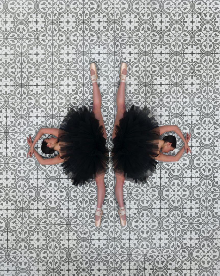 ballerine de lair bradscanvas culturainquieta2