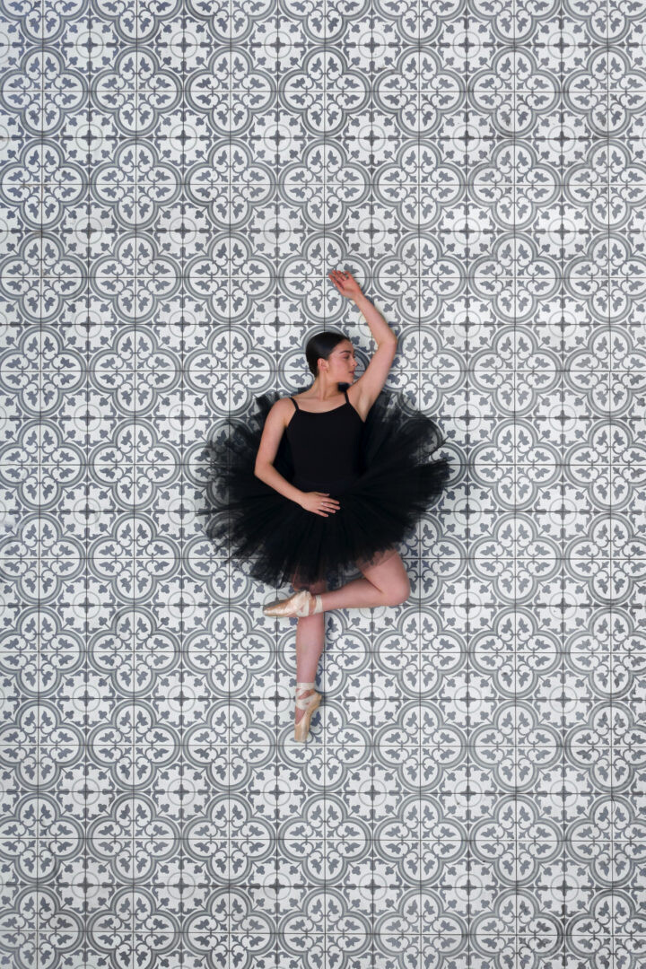 ballerine de lair bradscanvas culturainquieta5