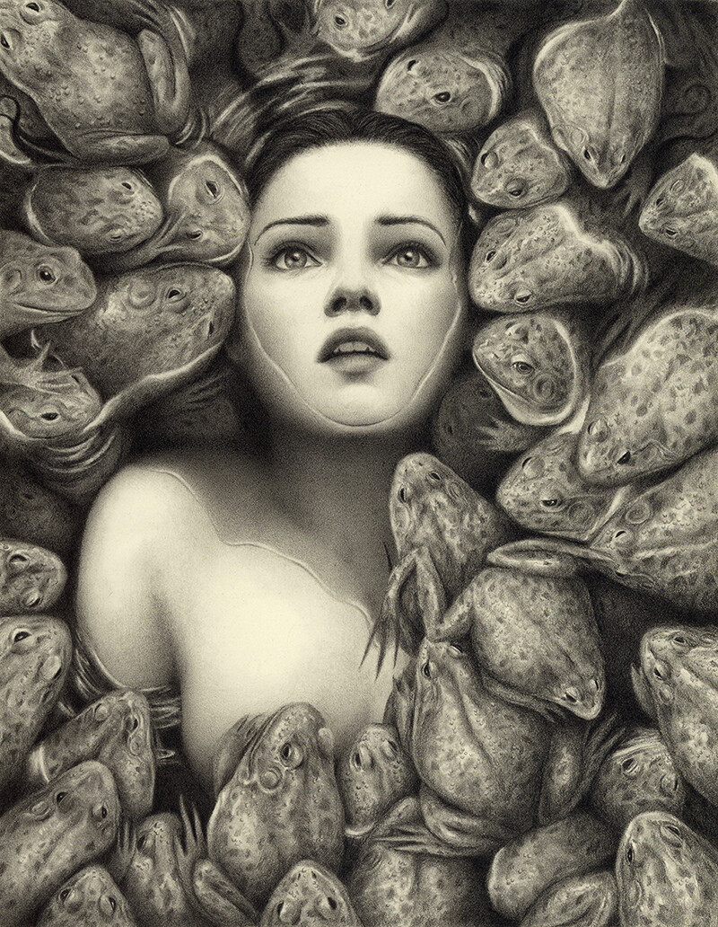 carlos fernadez nieto plague