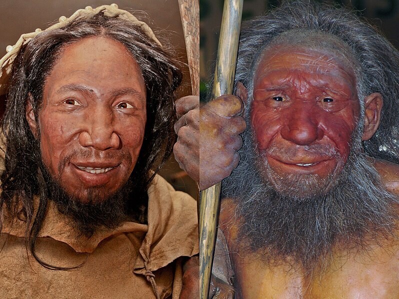comparacion homo sapiens y neandertal