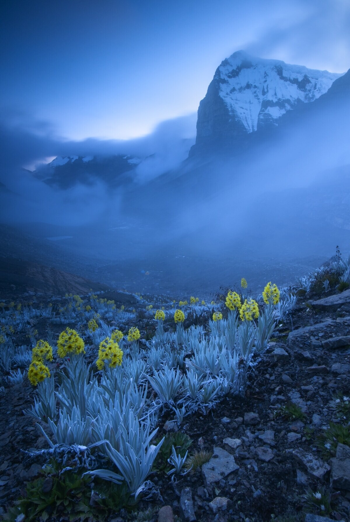 gabriel eisenband wildlife photographer of the year 2020