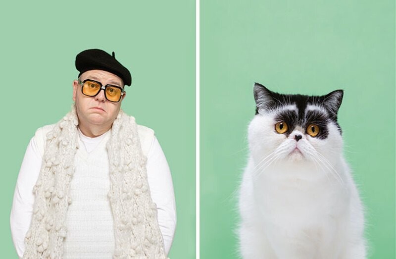gerrard grethings cats 01