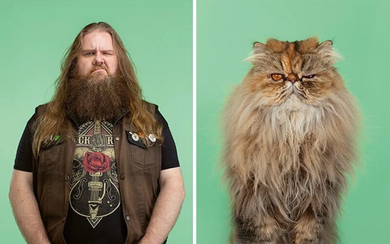 gerrard grethings cats 03