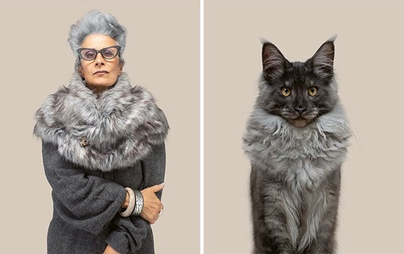 gerrard grethings cats 05