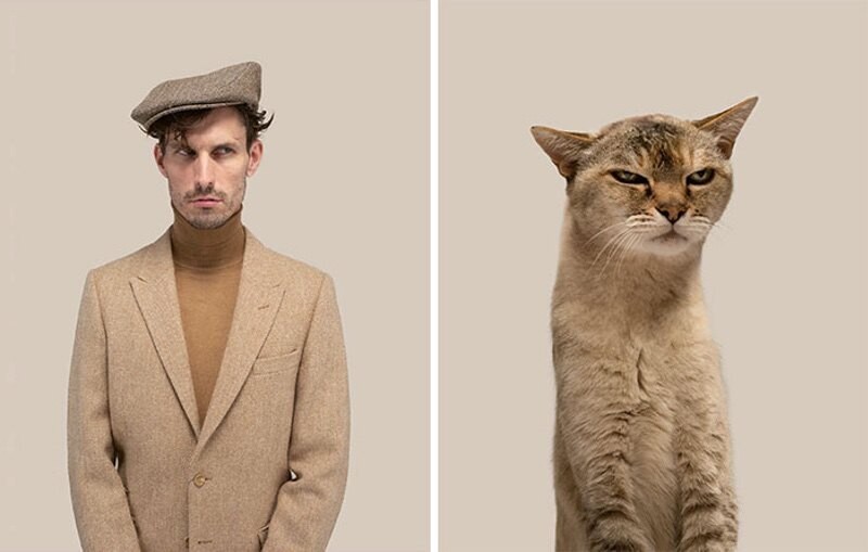 gerrard grethings cats 07