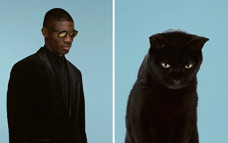 gerrard grethings cats 08