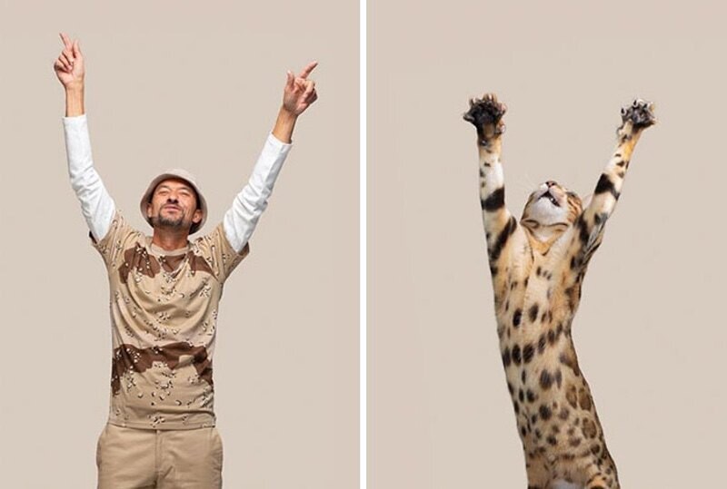 gerrard grethings cats 13