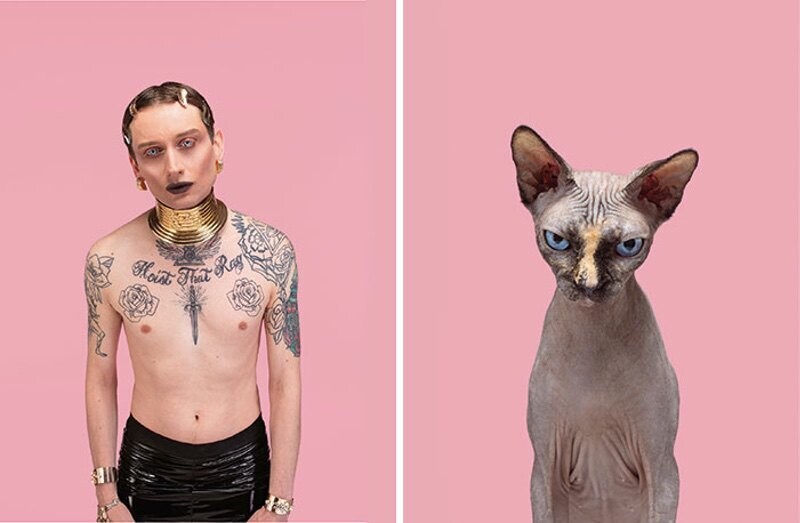 gerrard grethings cats 14