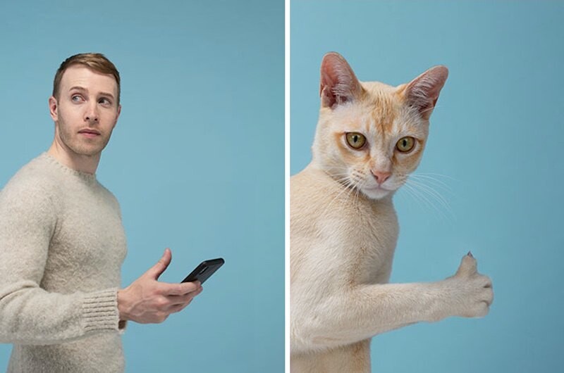 gerrard grethings cats 15