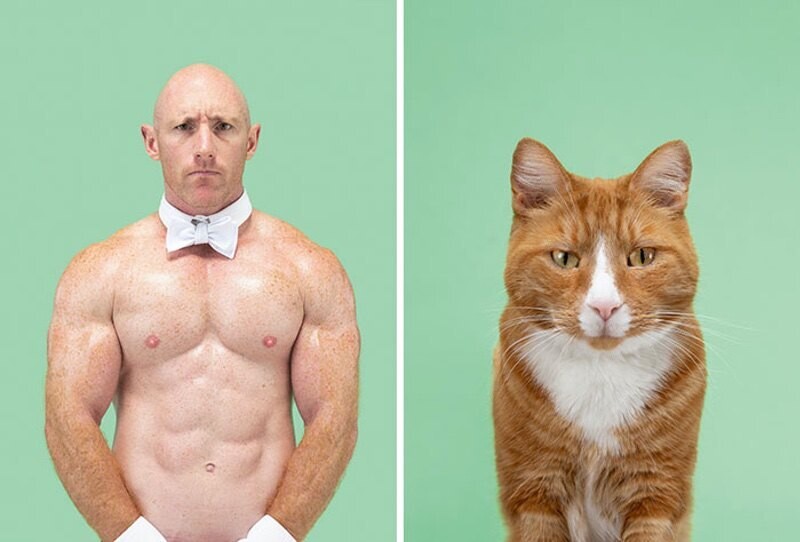 gerrard grethings cats 17