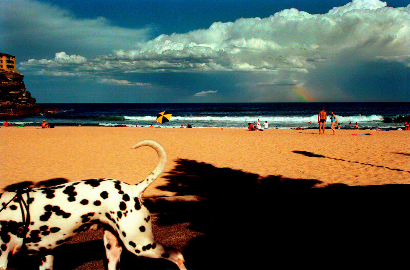 loba 2002 narelle autio