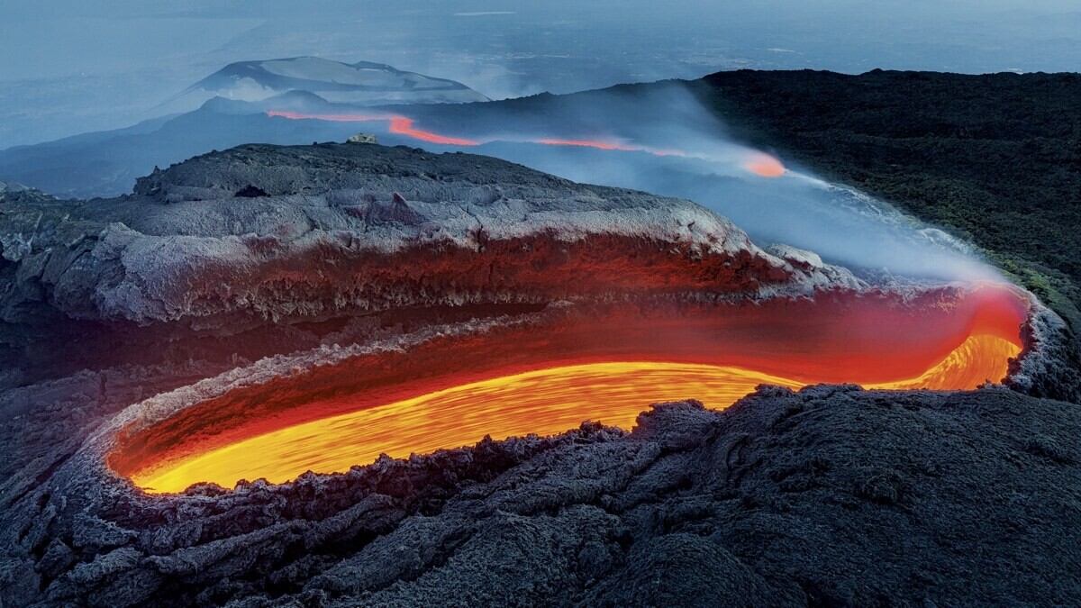 luciano gaudenzio wildlife photographer of the year 2020