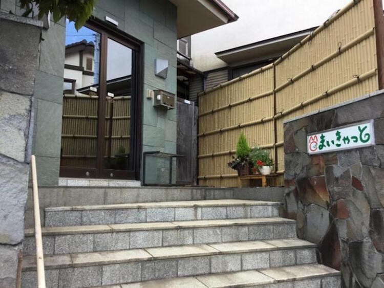 my cat yugawara gato hostal japon 2