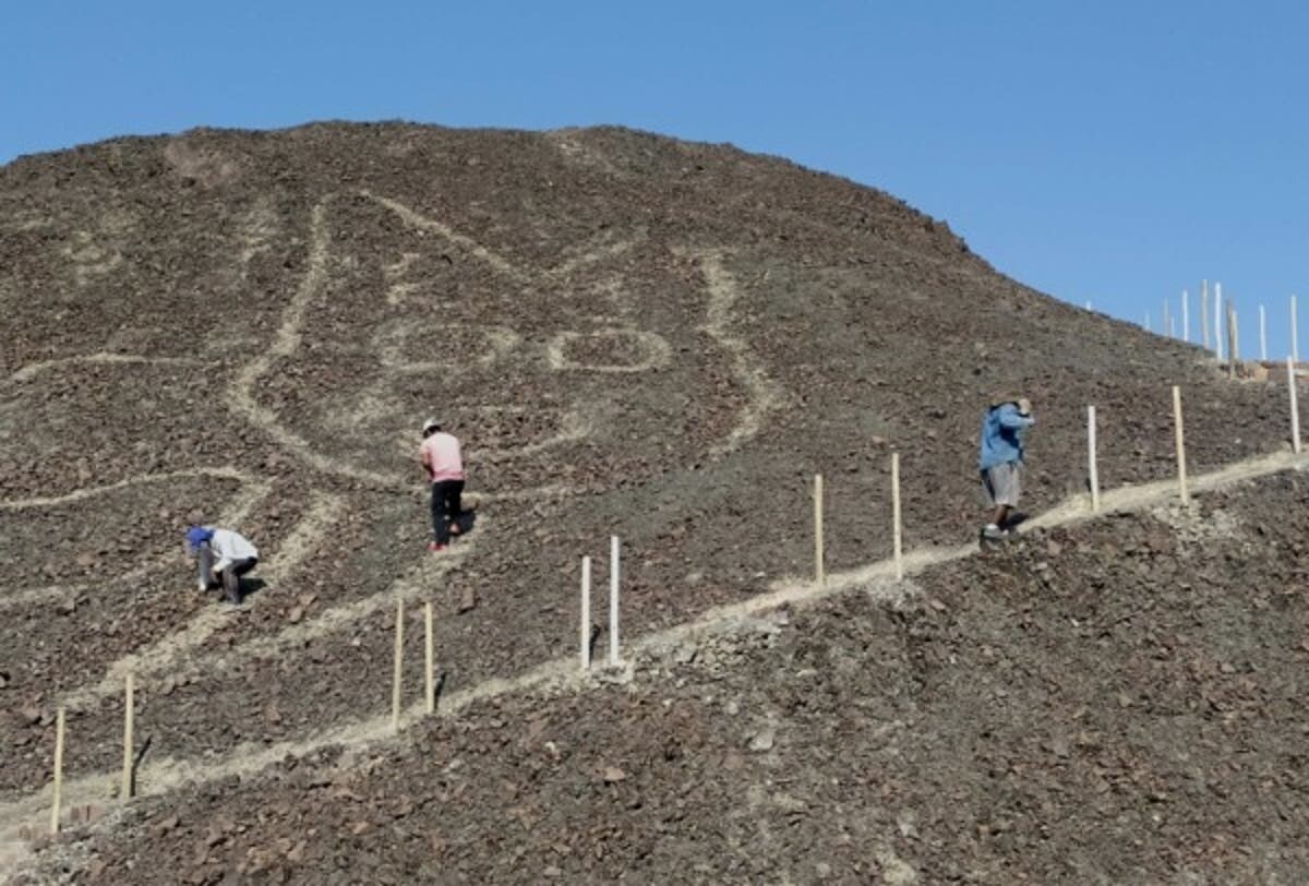 un gatito de 37 metros nueva figura aparece entre los geoglifos de nazca 50635744