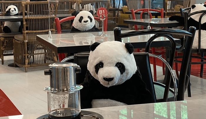 Un restaurante tailandés utiliza pandas de peluche contra la soledad y para garantizar la distancia social