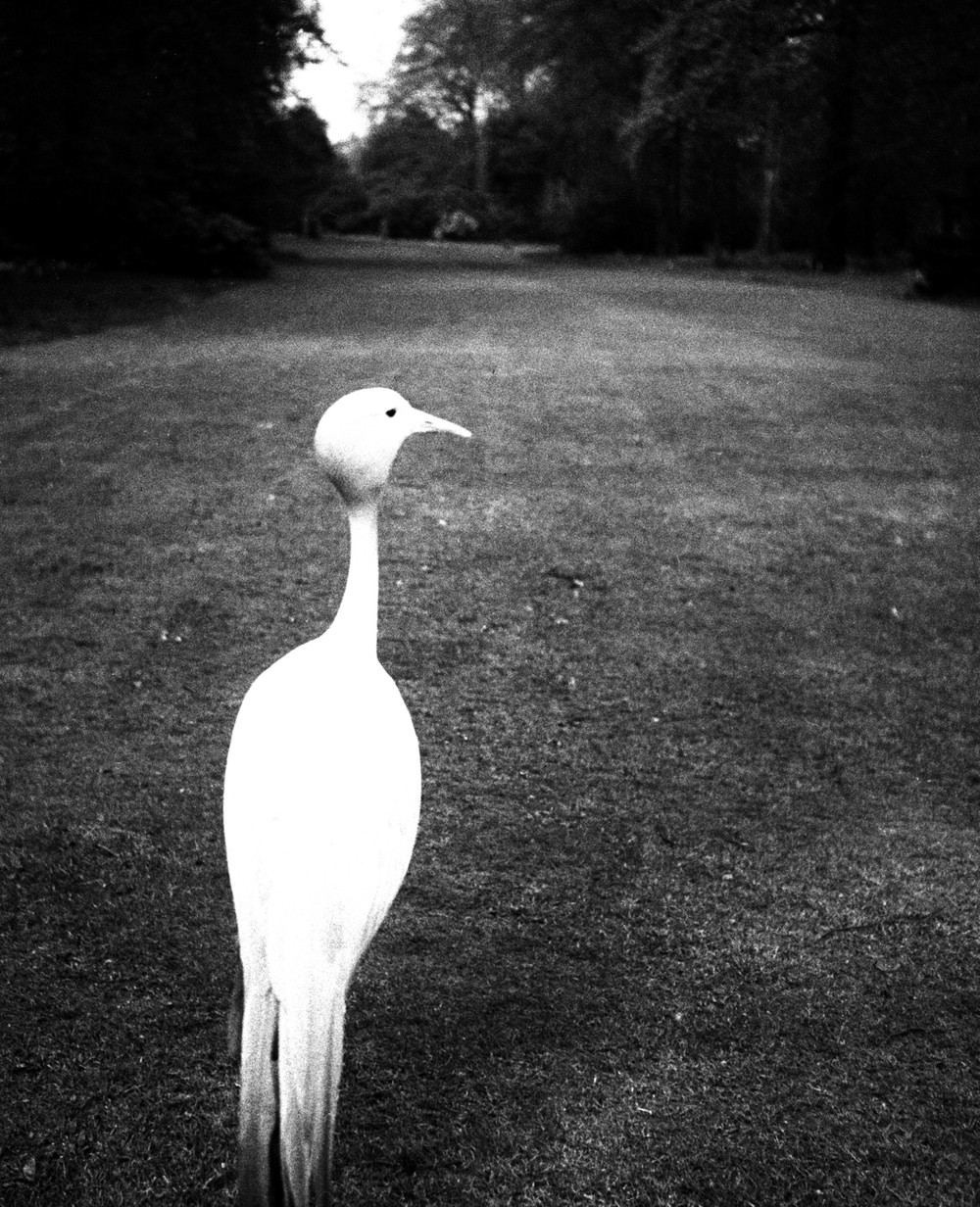 bill brandt