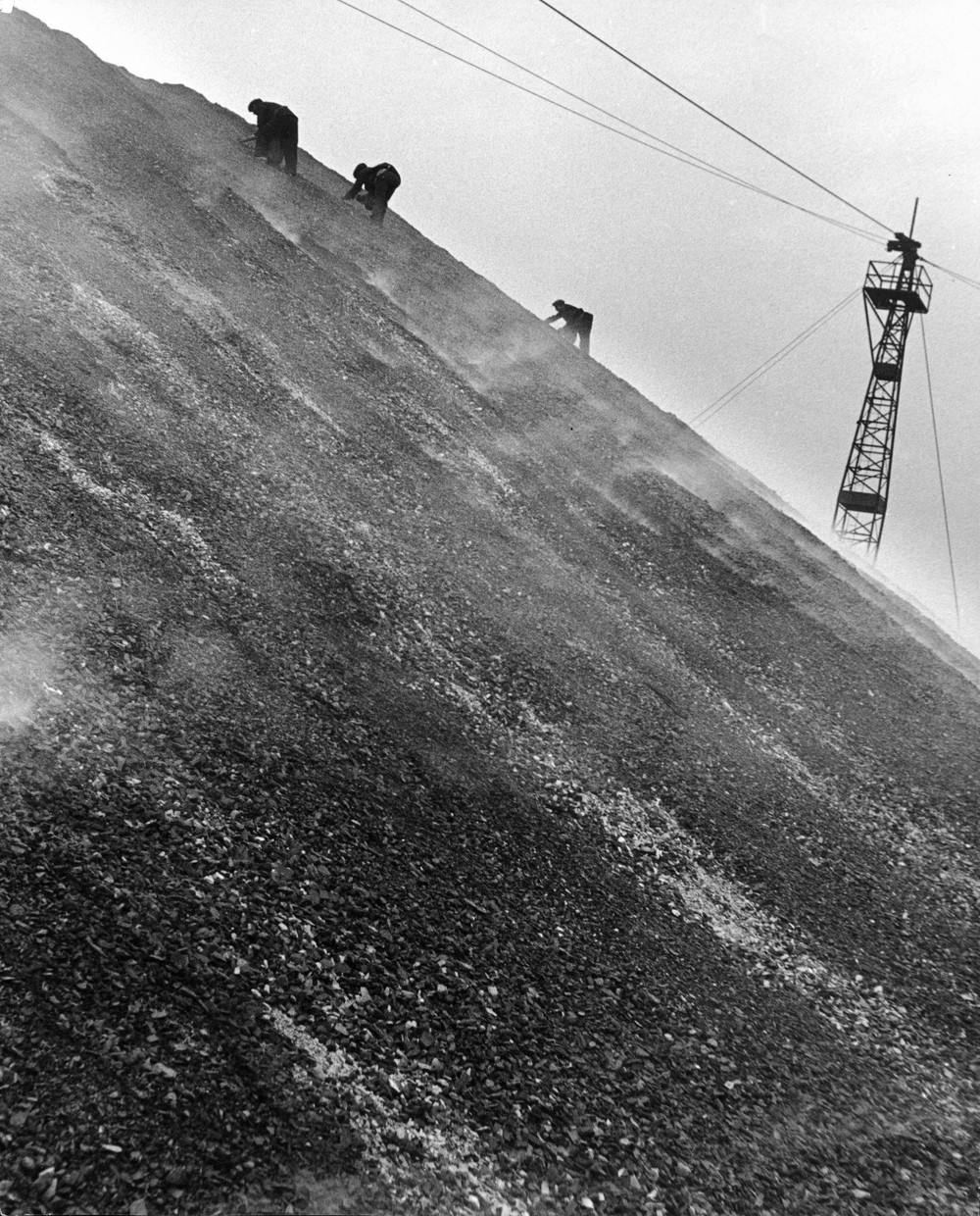 bill brandt2