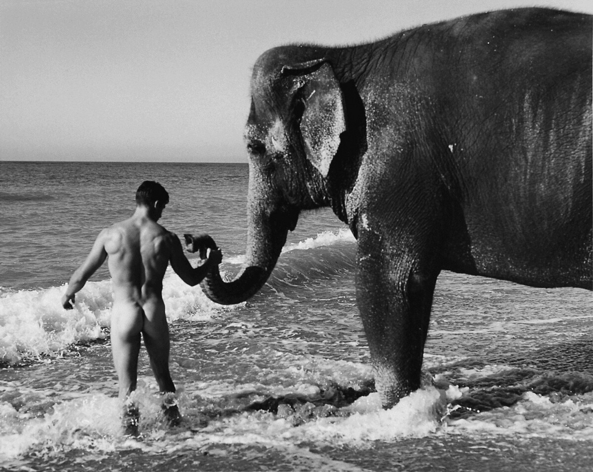 bruce weber maestro de la paridad de genero en el erotismo 10