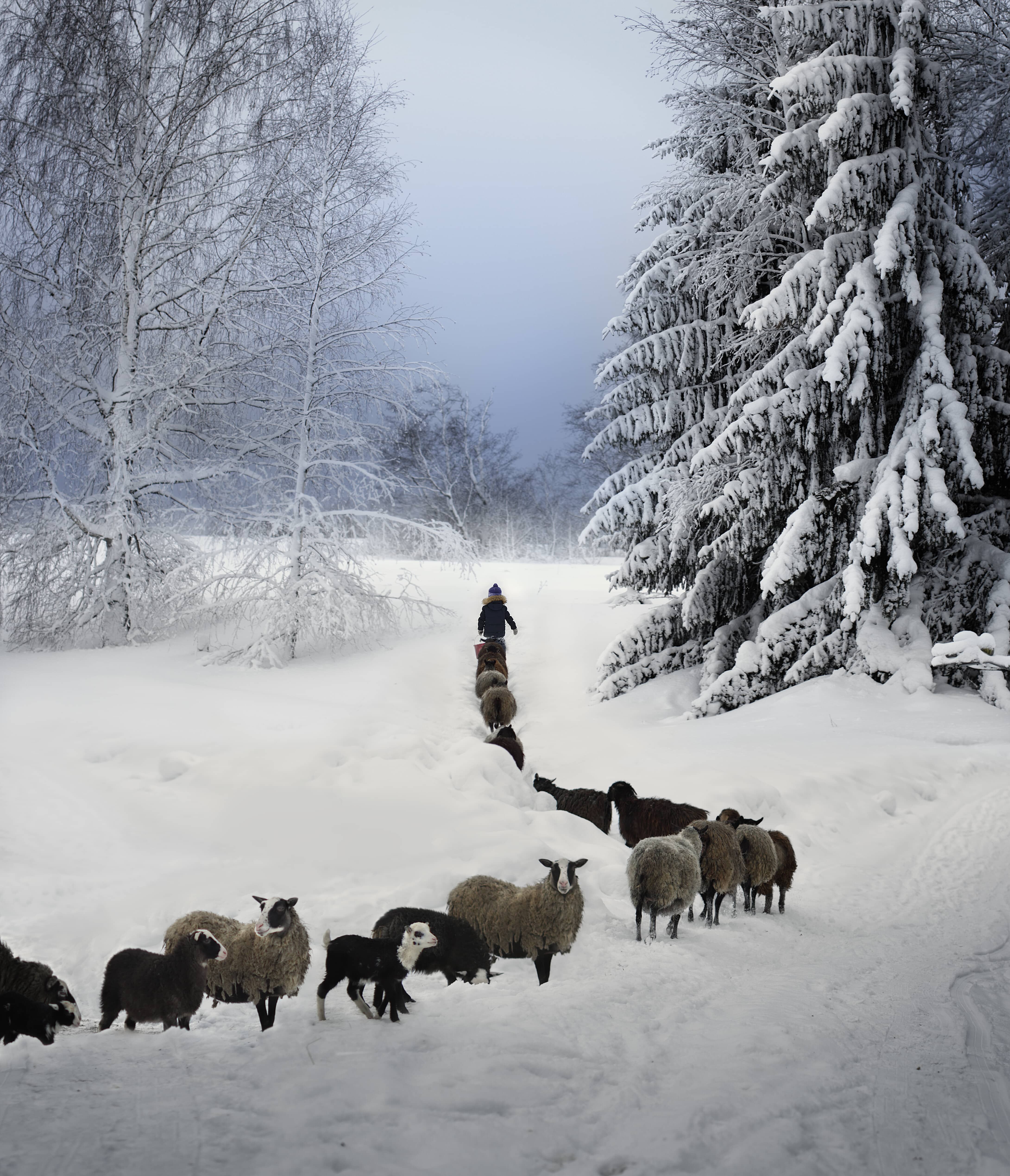 elena shumilova kiyan forootan diciembre callao city arts madrid 10
