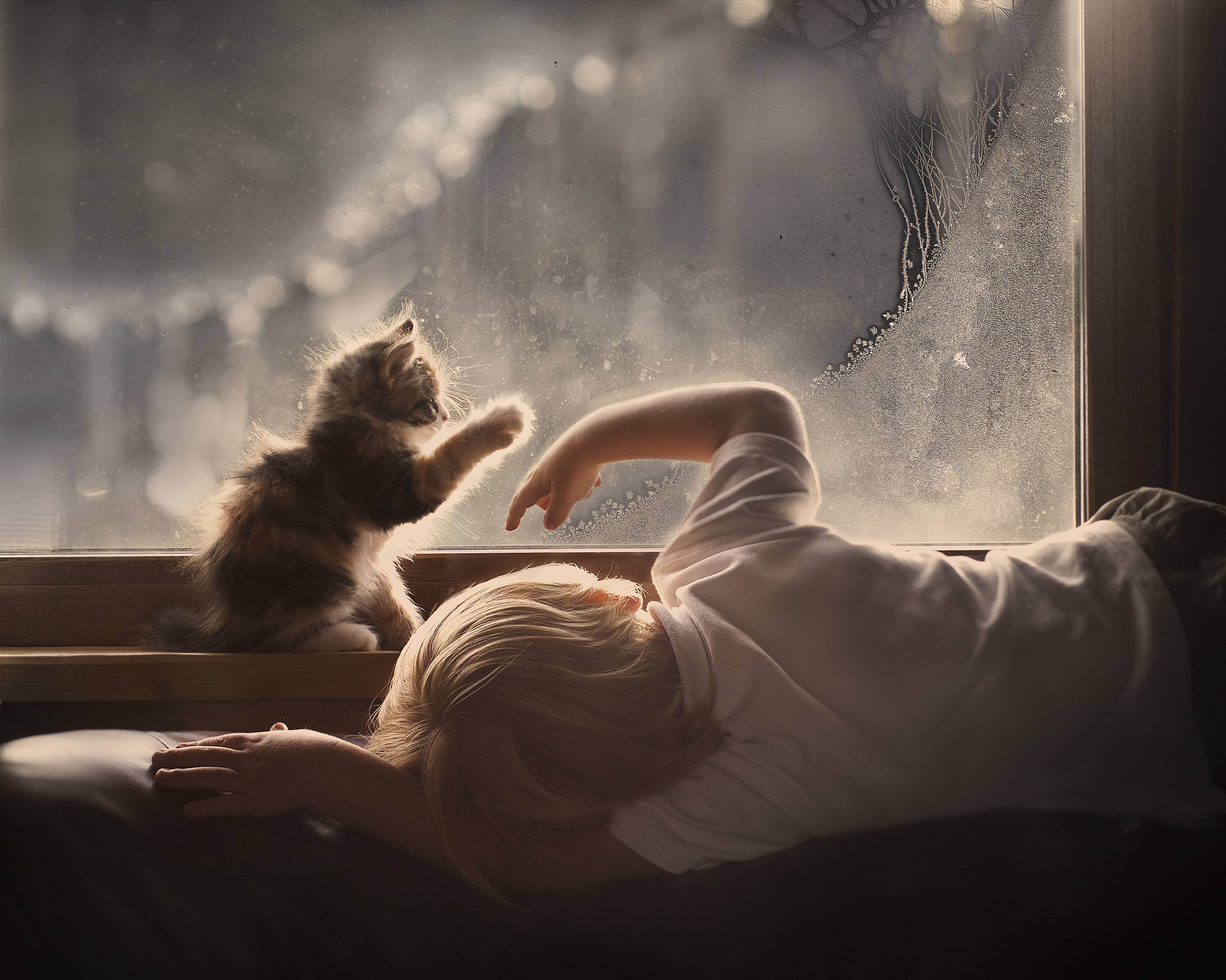 elena shumilova kiyan forootan diciembre callao city arts madrid 2