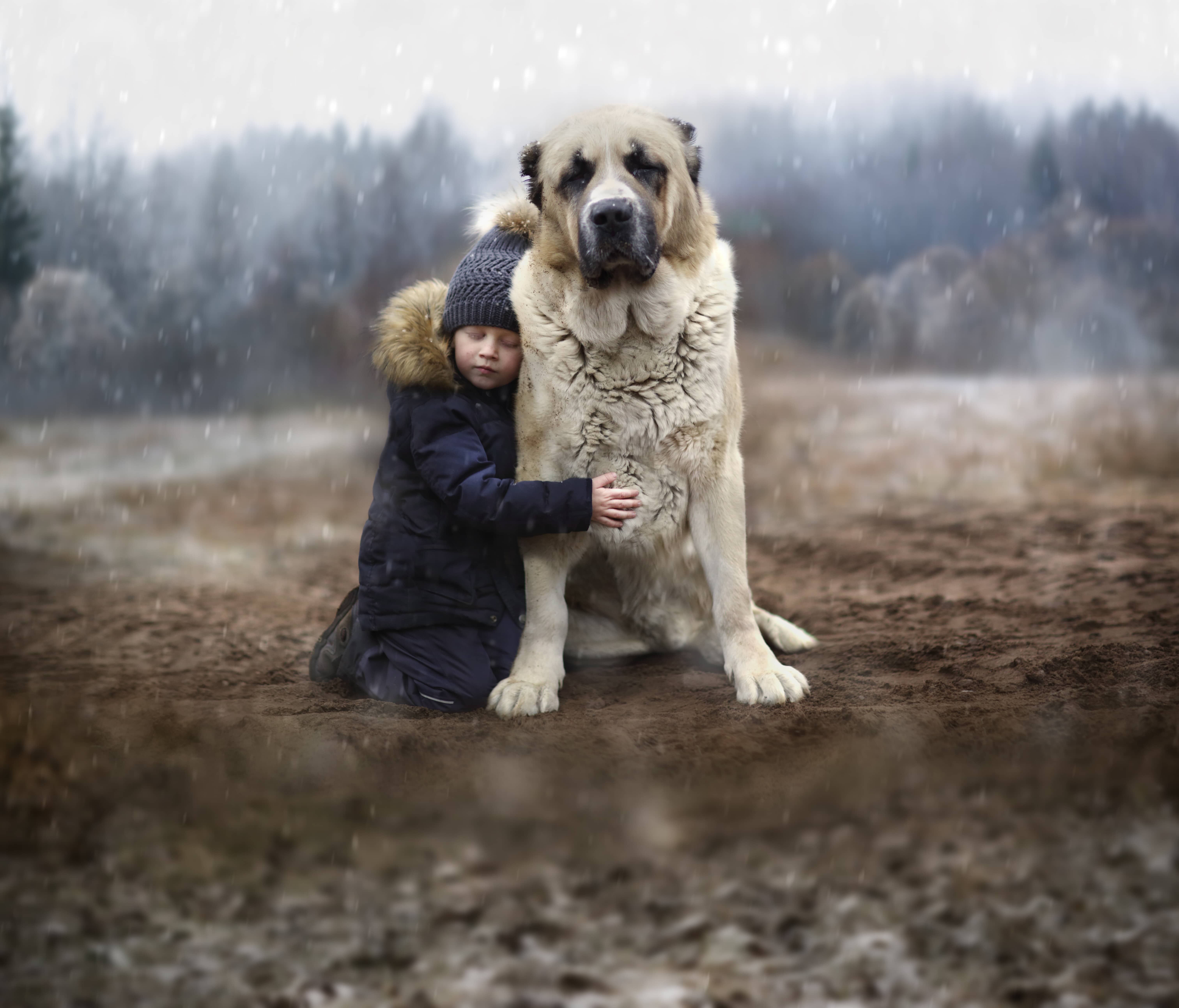 elena shumilova kiyan forootan diciembre callao city arts madrid 9