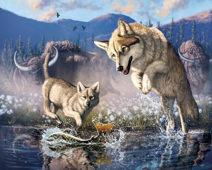 cachorro lobo permafrost 3