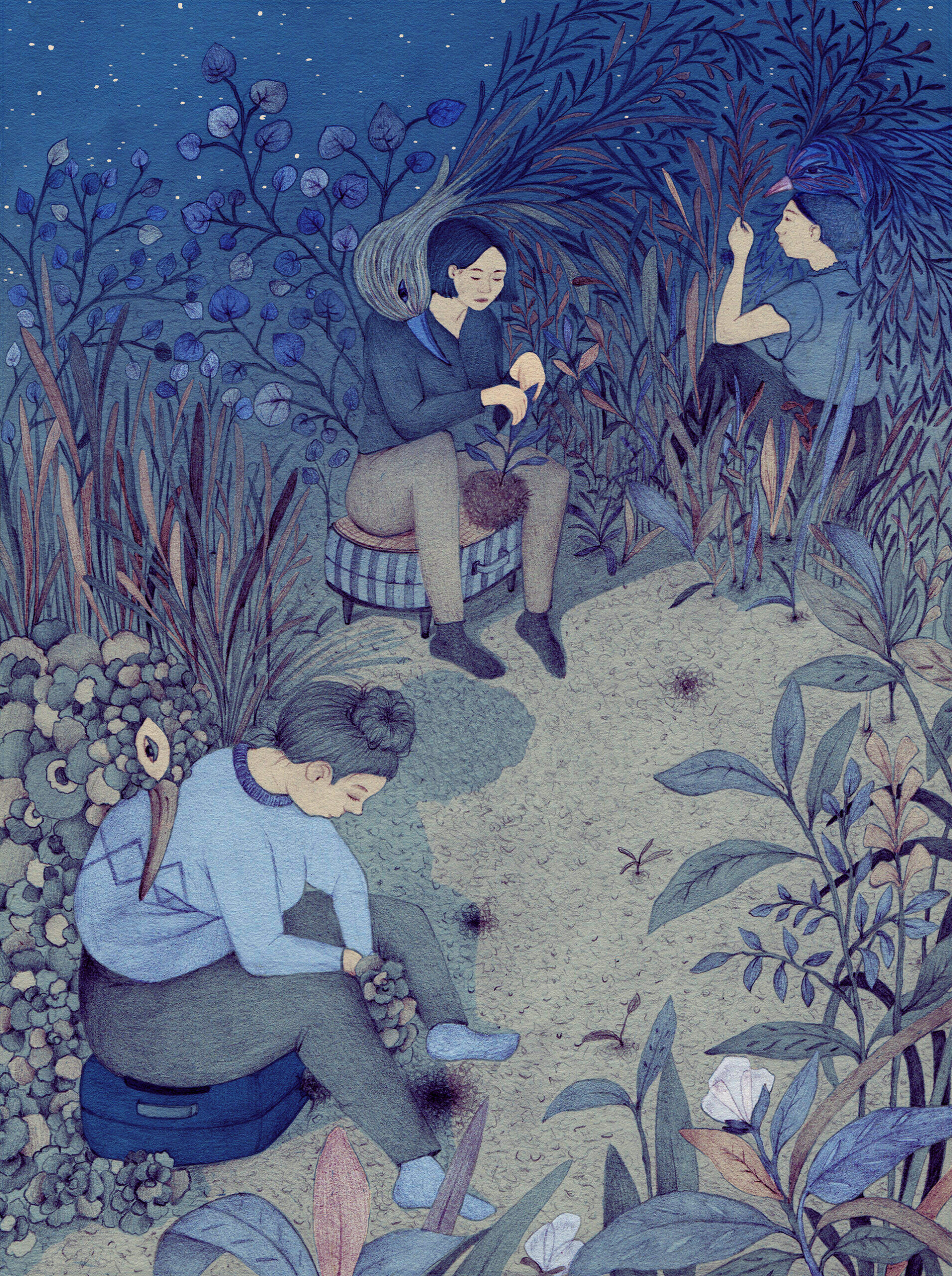 daniela gallego ilustracion realismo magico costumbrismo folclore 1