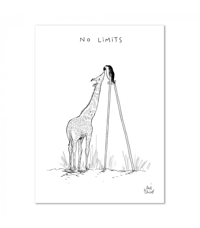 lamina no limits