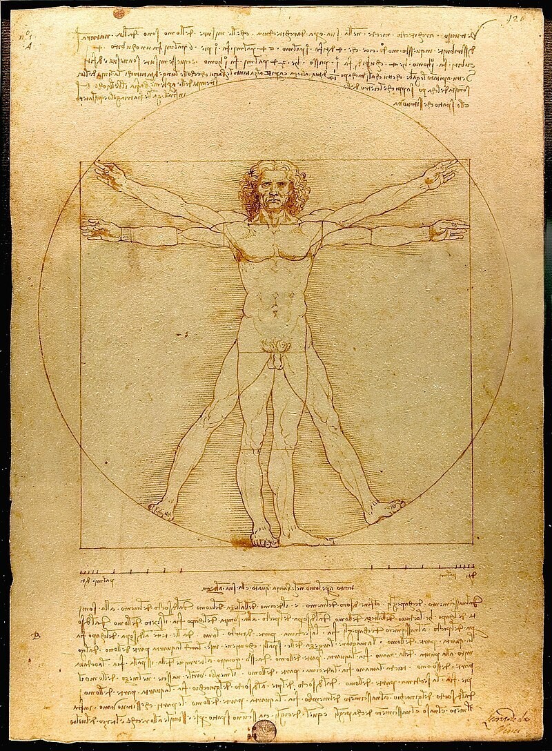 Leonardo da Vinci | Hombre de Vitruvio