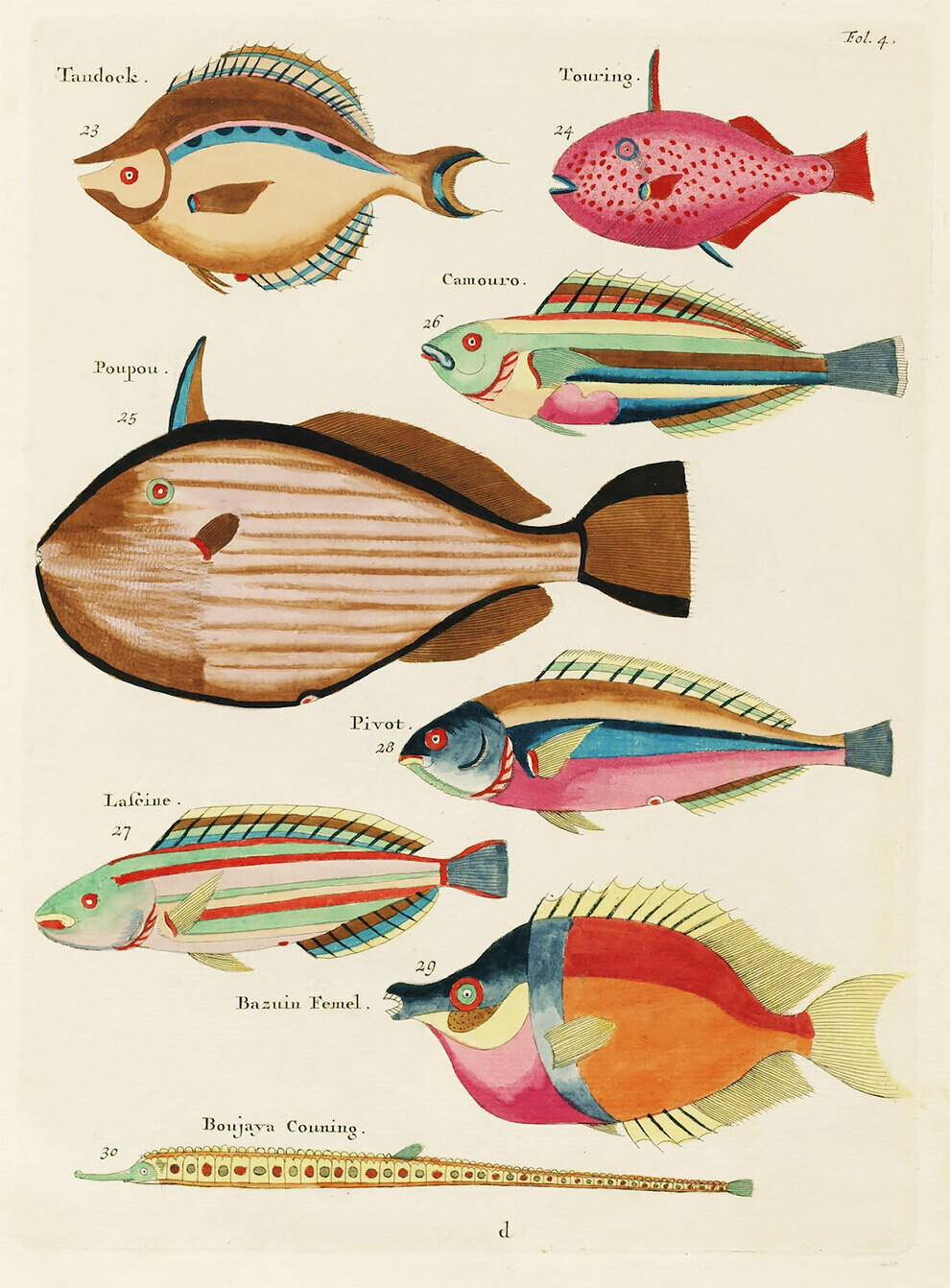 louis renard9