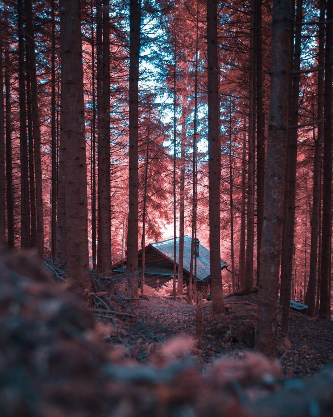 paolo pettigiani naturaleza fotografia arte digital alpes franceses 2
