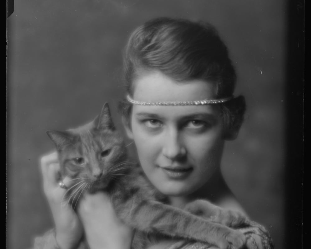 Fotografías centenarias de Buzzer, el gato modelo de Arnold Genthe