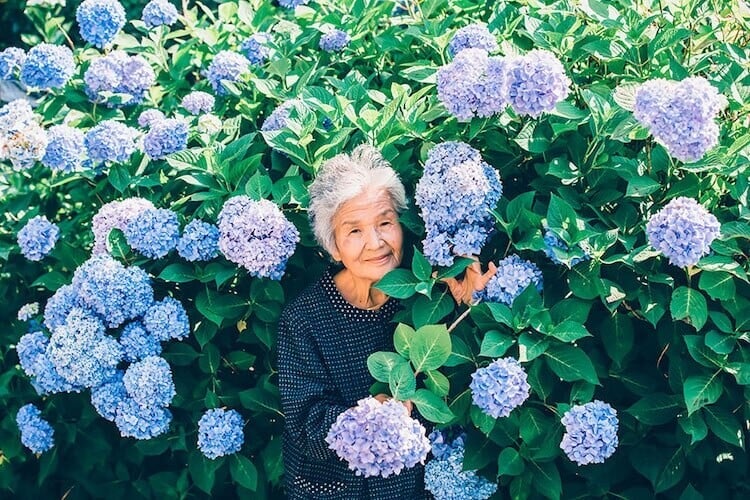 fotografías abuela yasuto