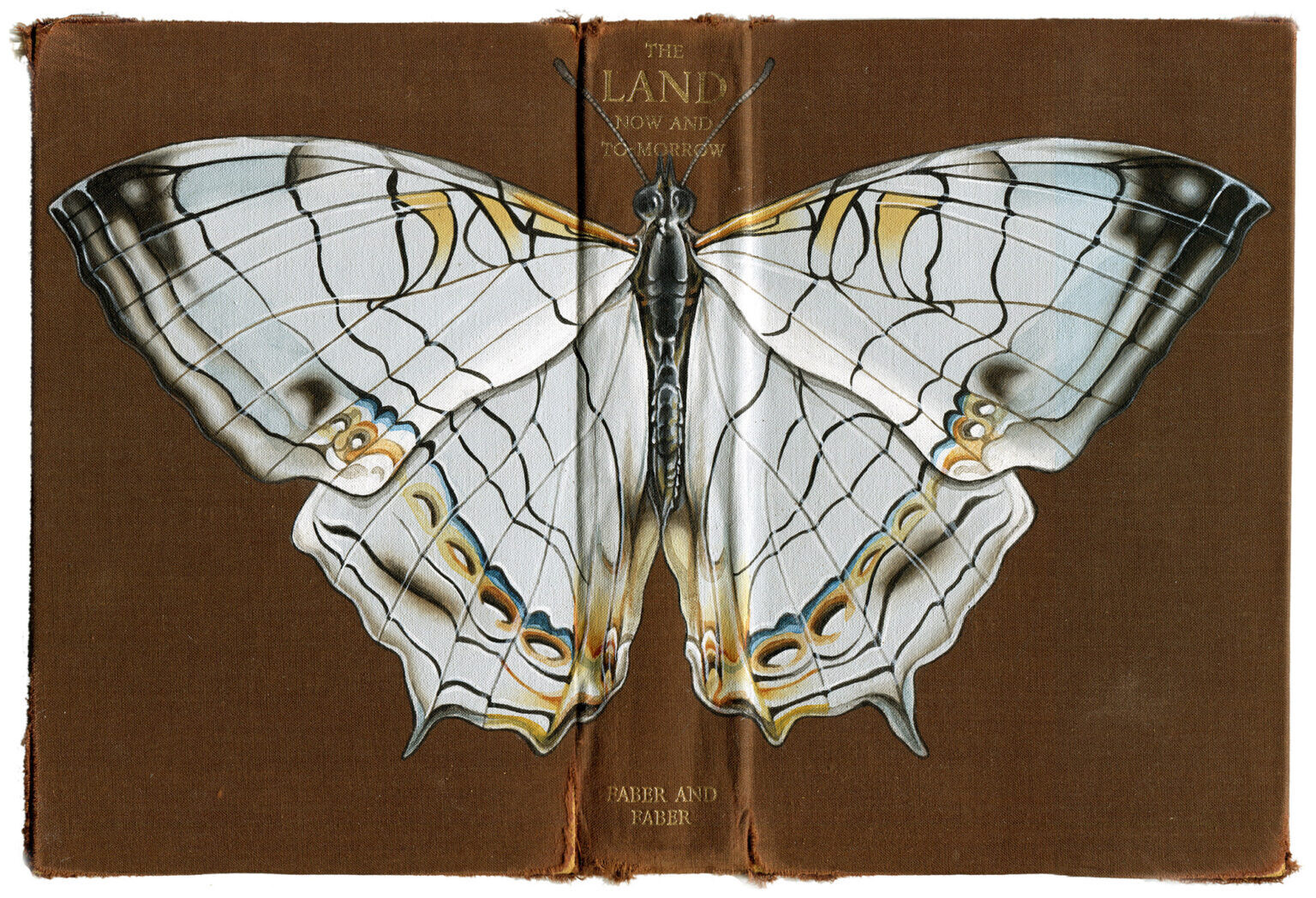 rose sanderson libros antiguos insectos pintura ilustracion 2
