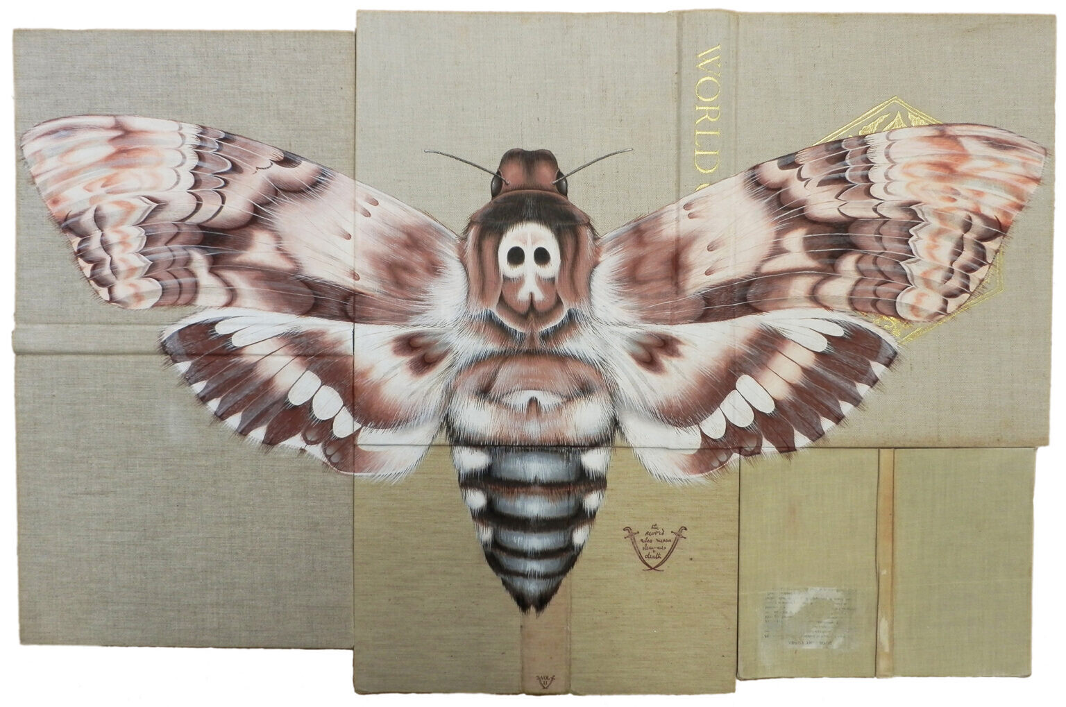 rose sanderson libros antiguos insectos pintura ilustracion 4