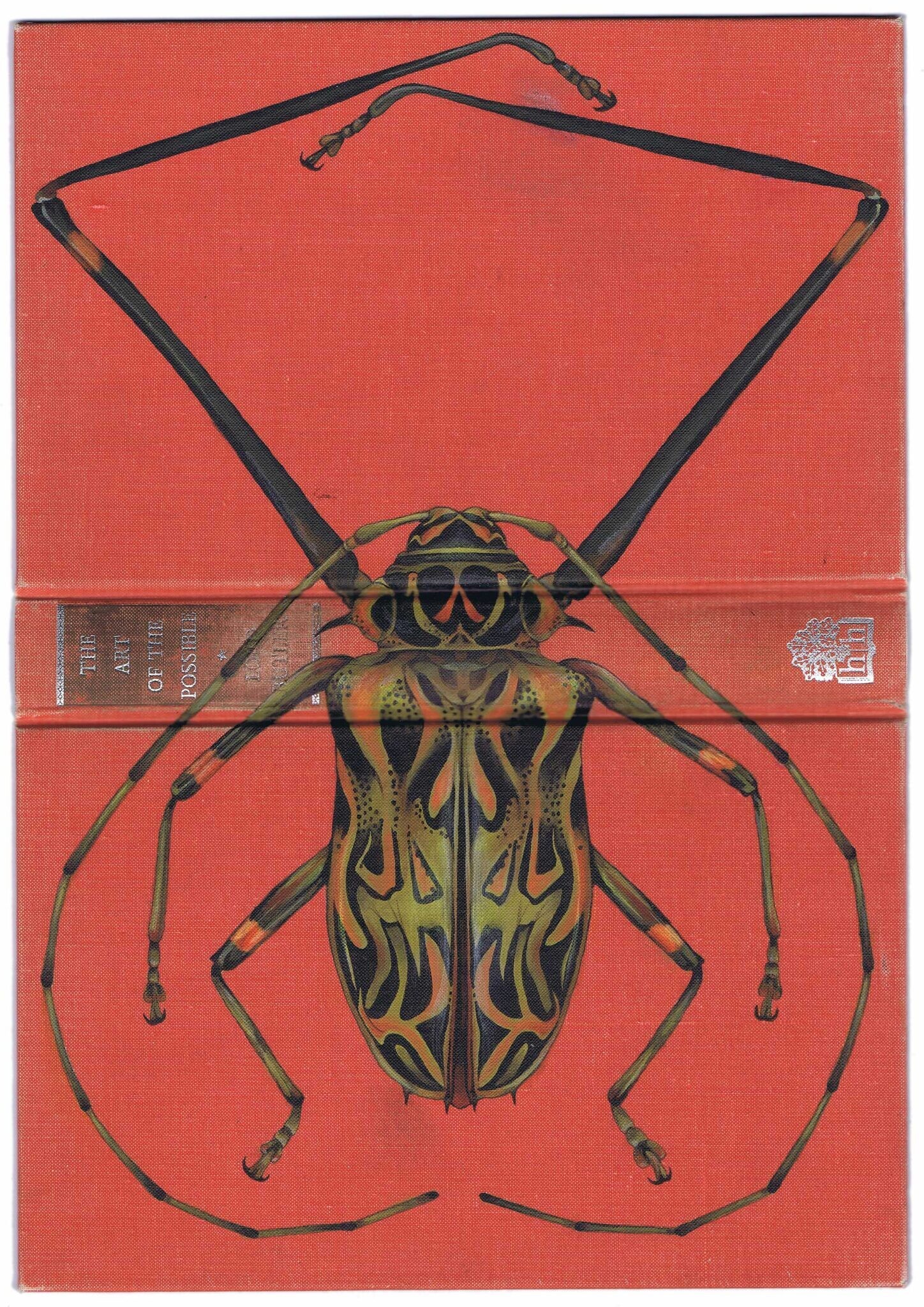 rose sanderson libros antiguos insectos pintura ilustracion 5