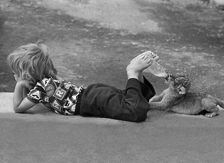 footloose 1978copyright of john drysdale