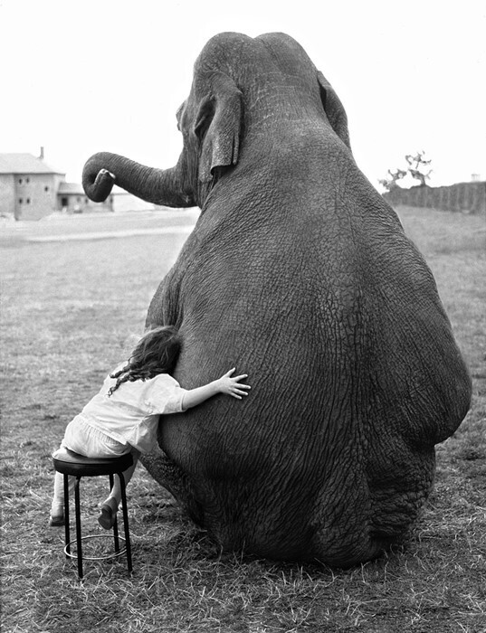 fotos vintage john drysdale.jpg11