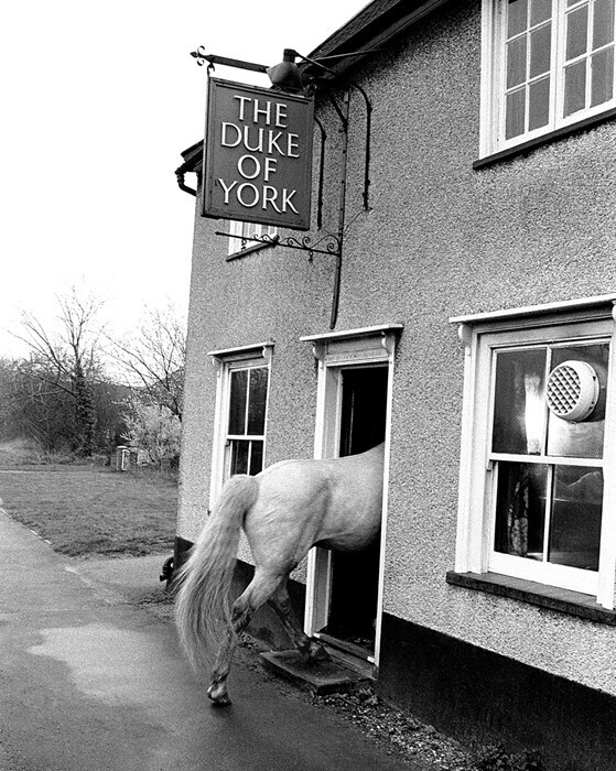 ear nibble 1967copyright of john drysdale
