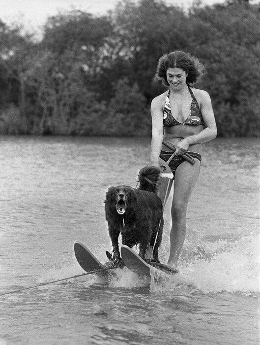 fotos vintage john drysdale.jpg7