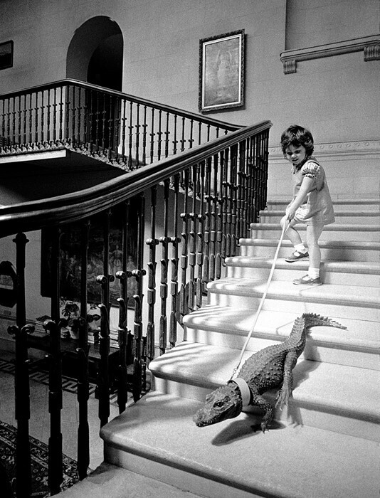 fotos vintage john drysdale.jpg9