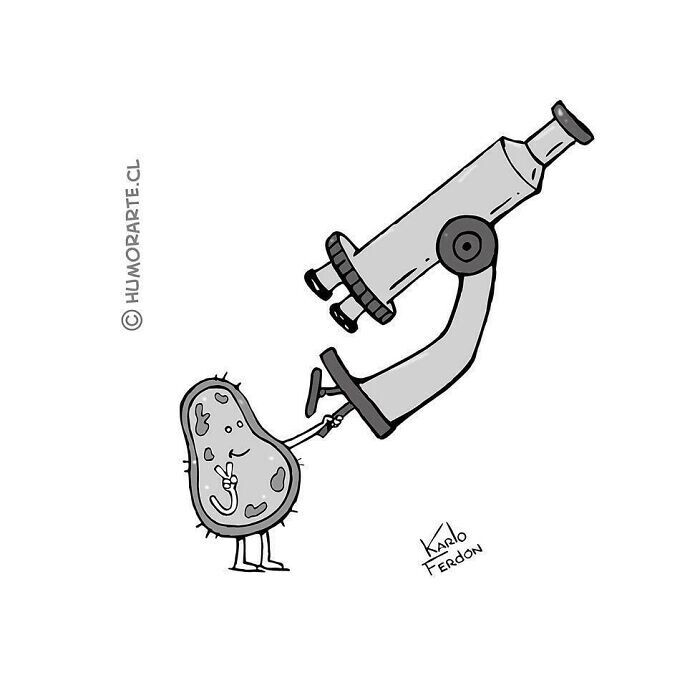karlo ferdon ilustración.jpg15