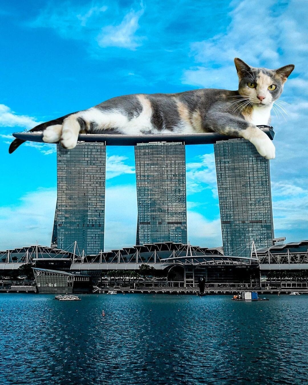 un gato gigante tumbado sobre tres rascacielos