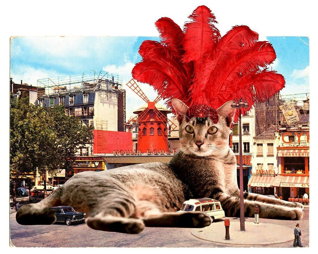 un gato gigante con un tocado de plumas rojo tumbado frente al Moulin Rouge de París