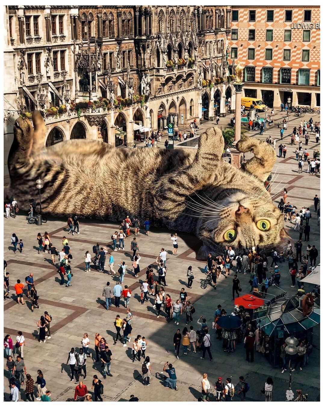 un gato gigante tumbado y juguetón en una plaza repleta de turistas