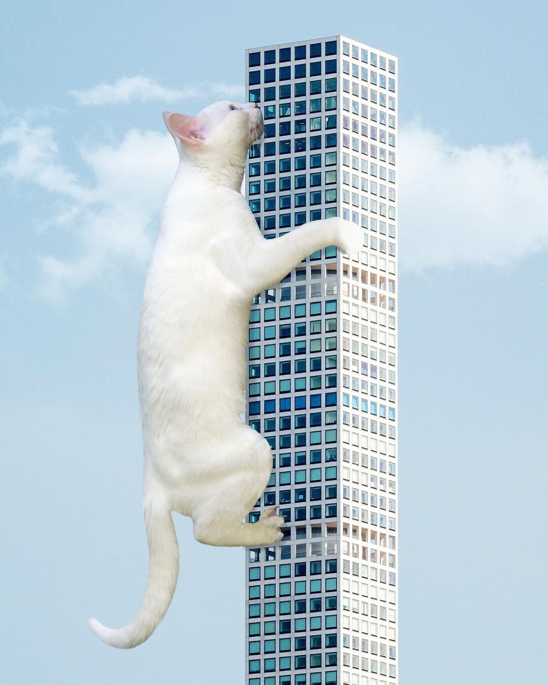 un gato blanco gigante escalando por un rascacielos