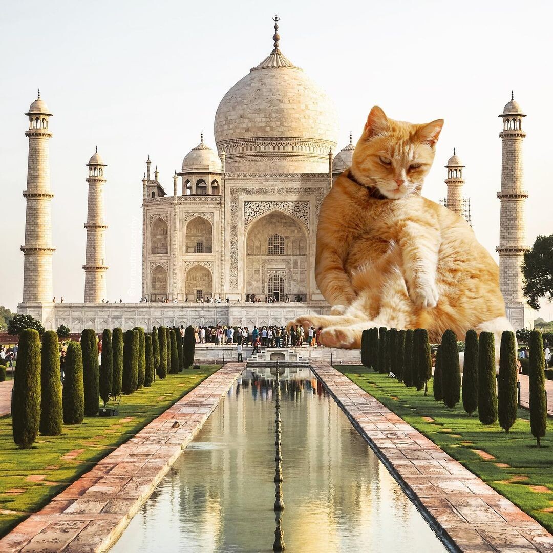 un gato gigante apoyado en el Taj Mahal observa a los turistas